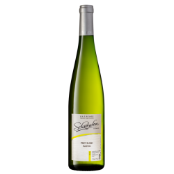 PINOT BLANC - 2022 - 100cl