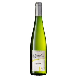 SYLVANER - 2021 - 75cl