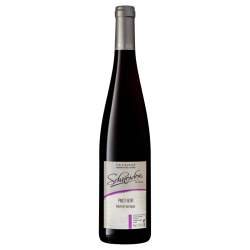 AOC PINOT NOIR Elevé en...