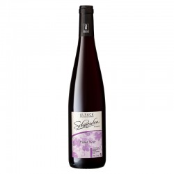 AOC PINOT NOIR 2022 - 75cl