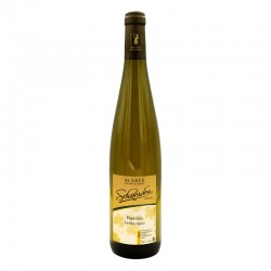 PINOT GRIS - 2022 - 75cl